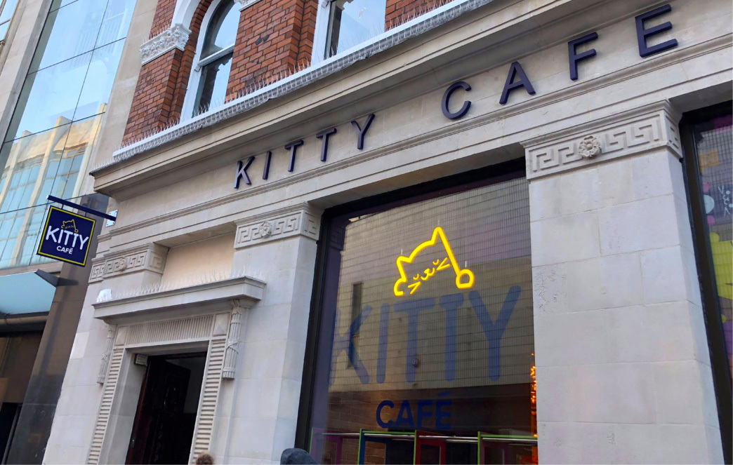 Cat Café and Cat Rescue Centre Kitty Cafe